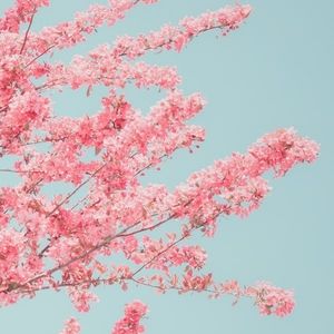 Meet your Posher, Patsy